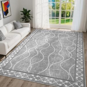 JS BROKERAGE 4x6 Area Rugs for Living Room, Machine Washable Bordered Rug for Bedroom